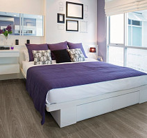 IVC Ultimo (DryBack)